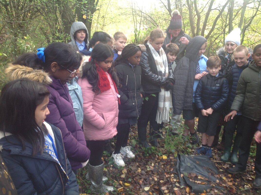 Image of Year 6 Visit to Dob Croft Nature Reserve